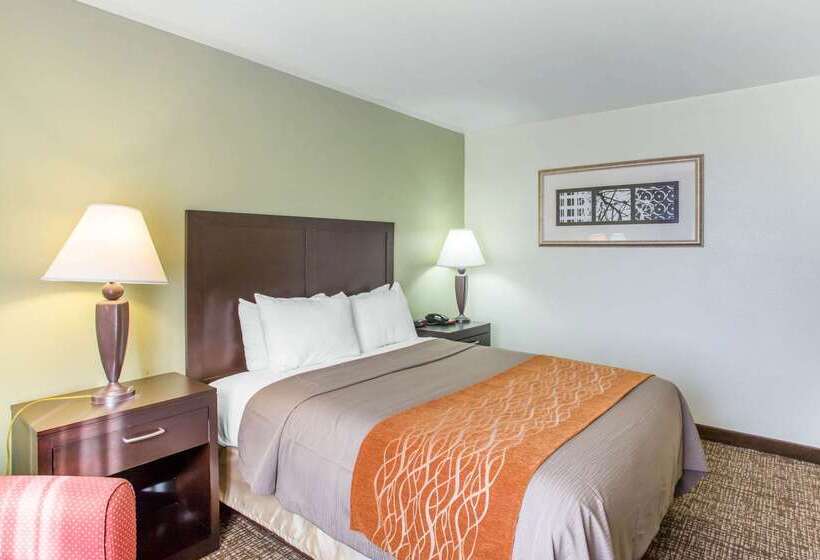 ホテル Comfort Inn Franklin Highway 96
