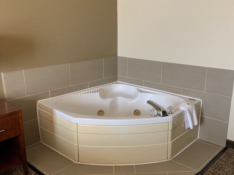 هتل Comfort Inn Franklin Highway 96