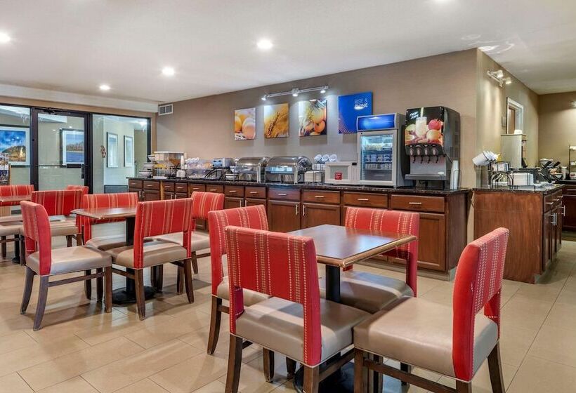 בית מלון כפרי Comfort Inn & Suites Black River Falls I94