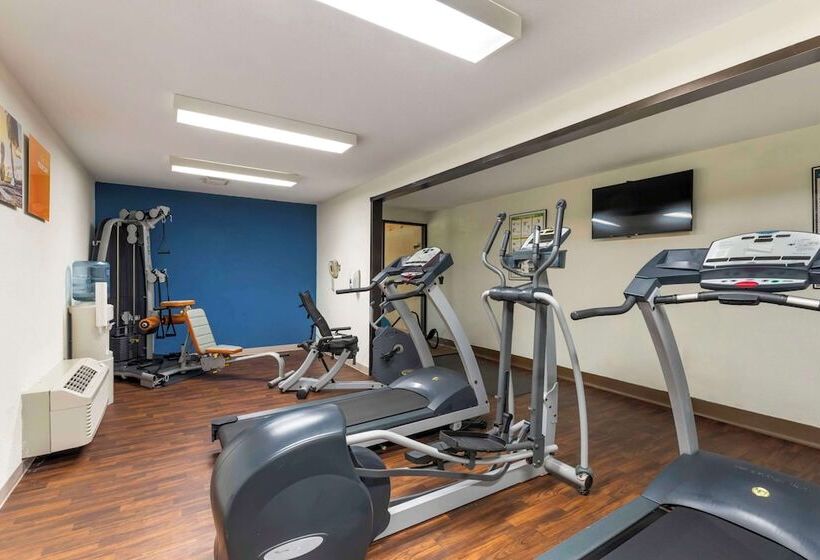 בית מלון כפרי Comfort Inn & Suites Black River Falls I94