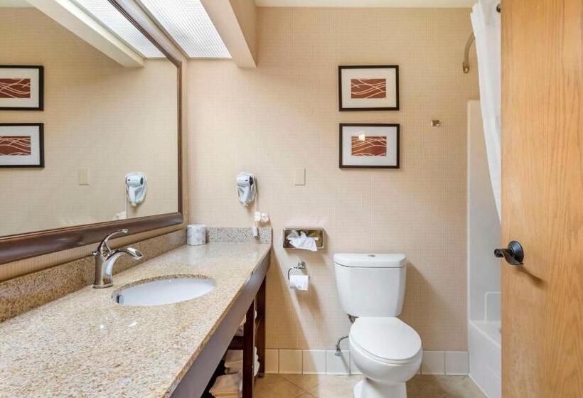 בית מלון כפרי Comfort Inn & Suites Black River Falls I94