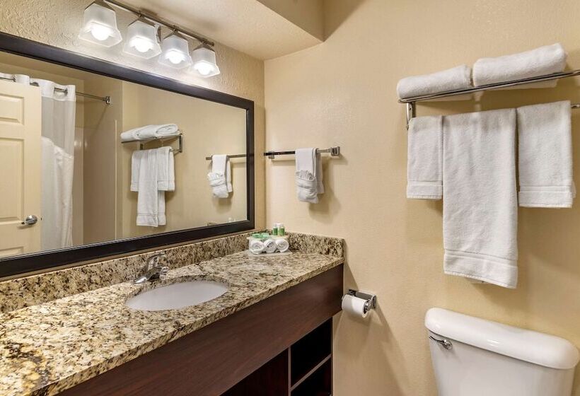בית מלון כפרי Comfort Inn & Suites Dahlonega University Area