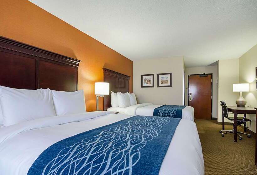 호텔 Comfort Inn & Suites