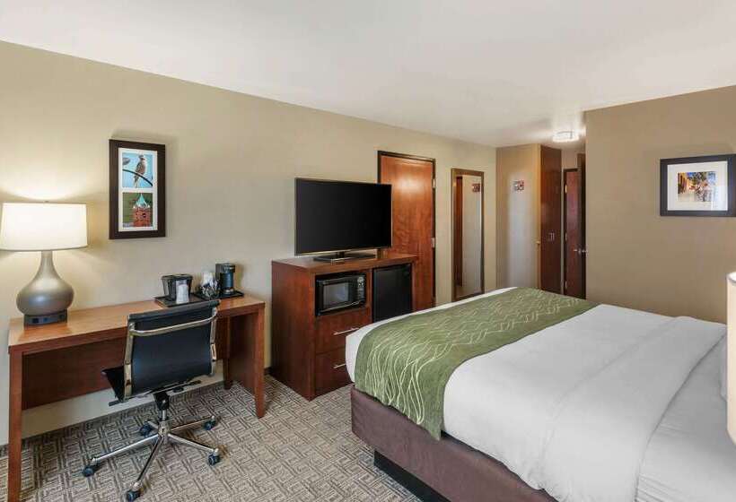 ホテル Comfort Inn University