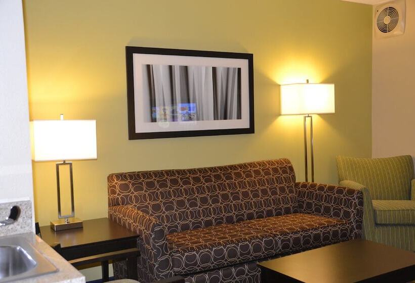 Hotel Holiday Inn Express  & Suites Bloomingtonnormal University Area