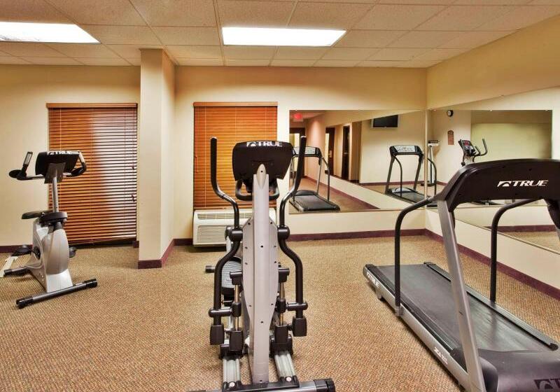 هتل Holiday Inn Express Atlanta W  Douglasville, An Ihg