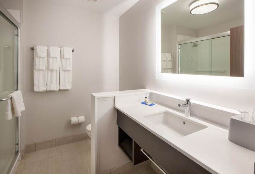 هتل Holiday Inn Express Atlanta W  Douglasville, An Ihg