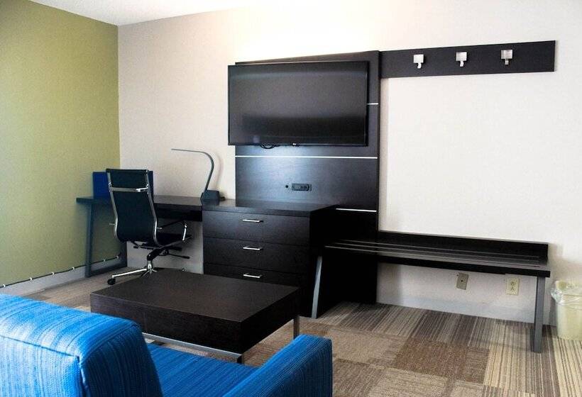 هتل Holiday Inn Express Atlanta W  Douglasville, An Ihg