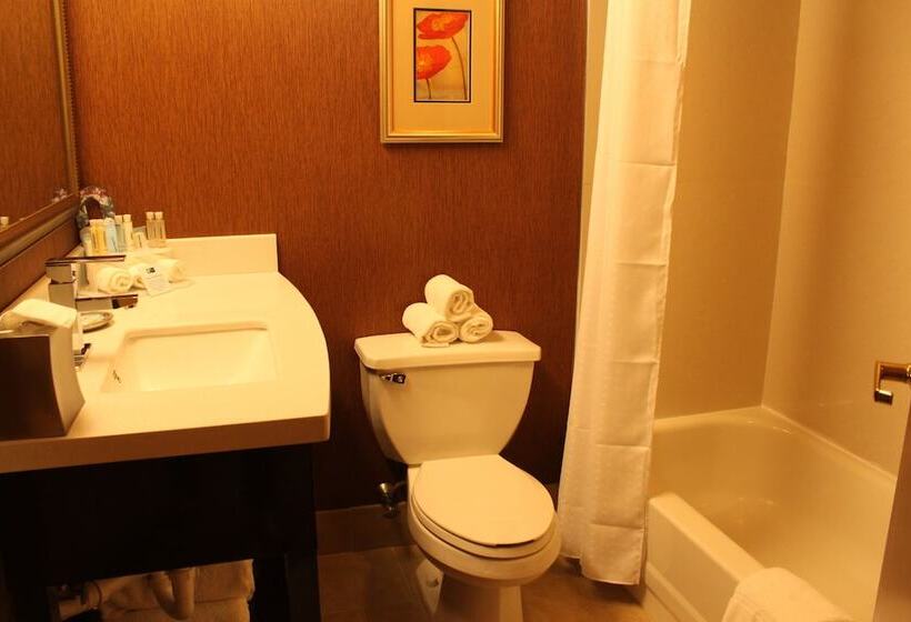酒店 Holiday Inn Express Lewisburg   New Columbia, An Ihg