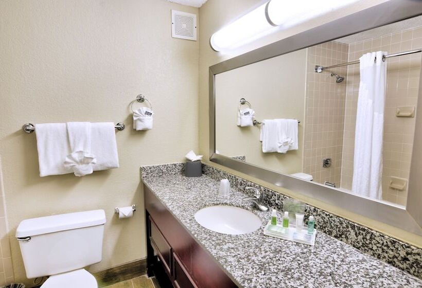 هتل Holiday Inn St. Petersburg N   Clearwater, An Ihg