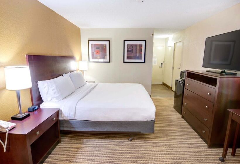 هتل Holiday Inn St. Petersburg N   Clearwater, An Ihg