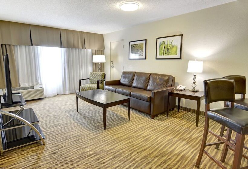 هتل Holiday Inn St. Petersburg N   Clearwater, An Ihg