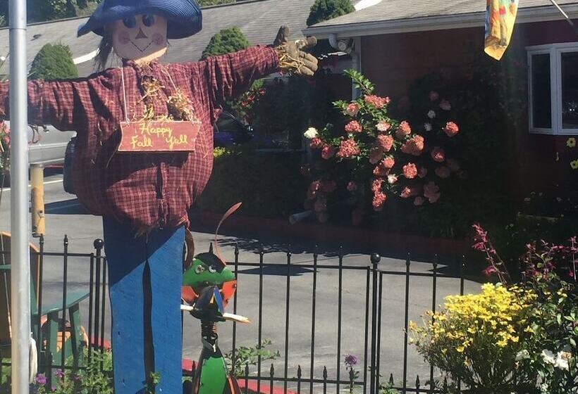 فندق Homestead Inn   Blowing Rock