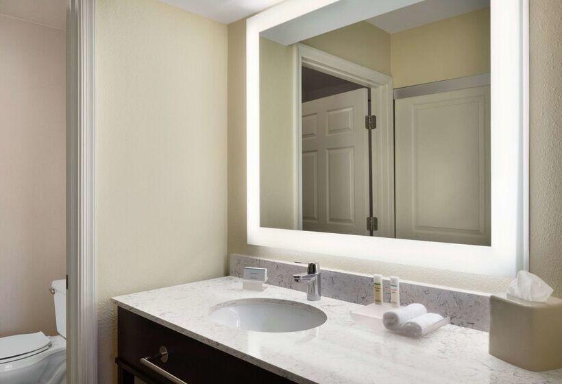 هتل Homewood Suites By Hilton St. Petersburg Clearwater