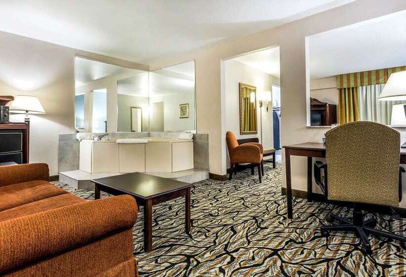 فندق Quality Inn At The Park