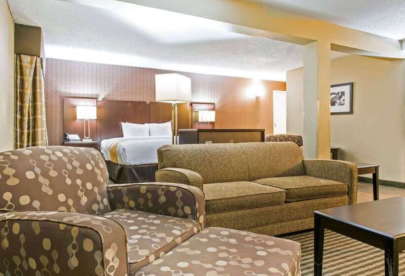 酒店 Quality Inn Festus