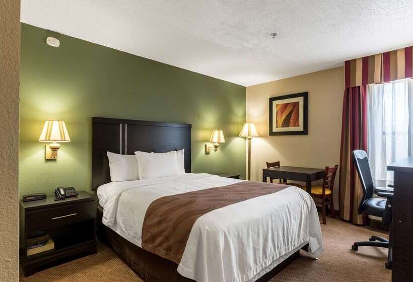 Hôtel Quality Inn & Suites Clemmons I40