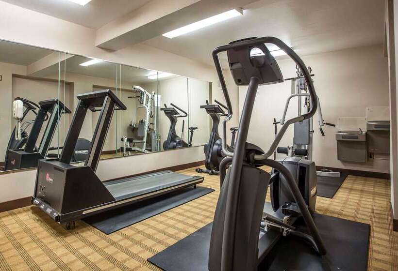 ホテル Quality Inn & Suites Matthews   Charlotte
