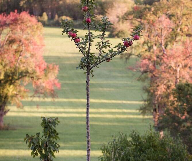 فندق Le Morimont