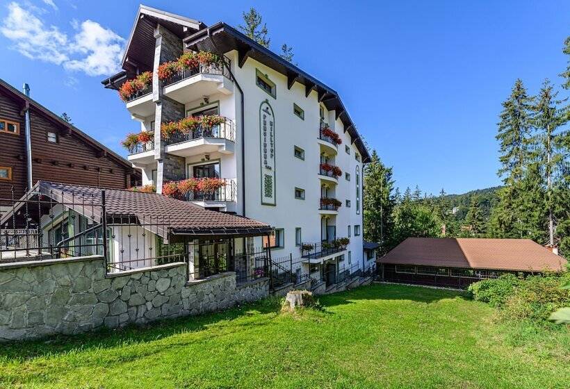 هتل Pensiunea Hilltop