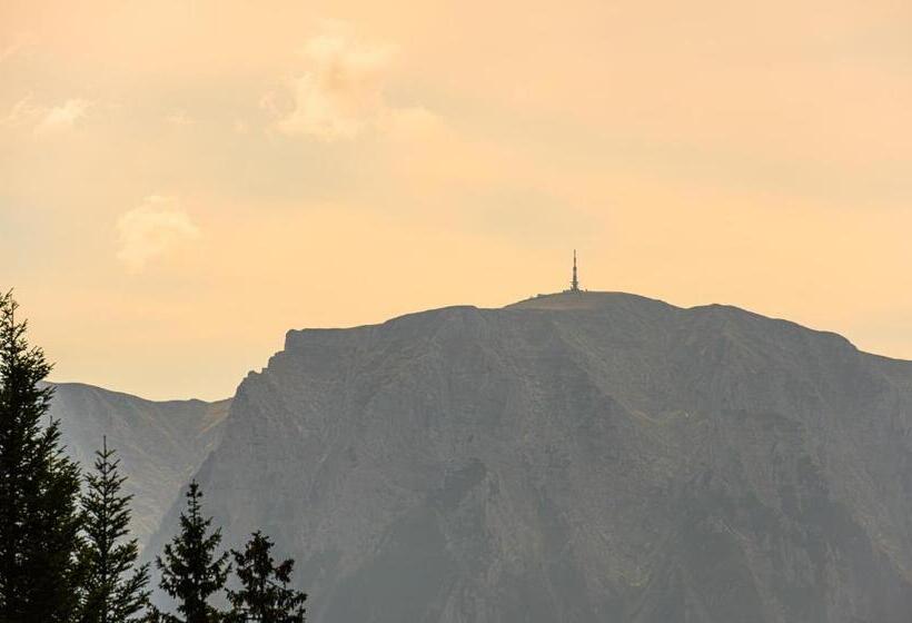 هتل Pensiunea Hilltop