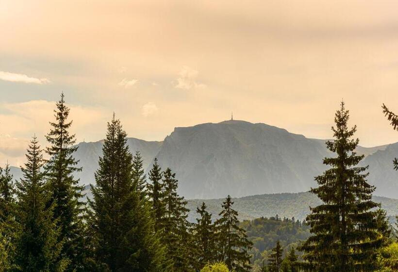 هتل Pensiunea Hilltop
