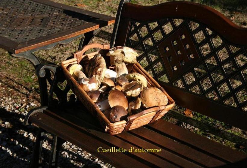 بنسيون Château De La Grèze