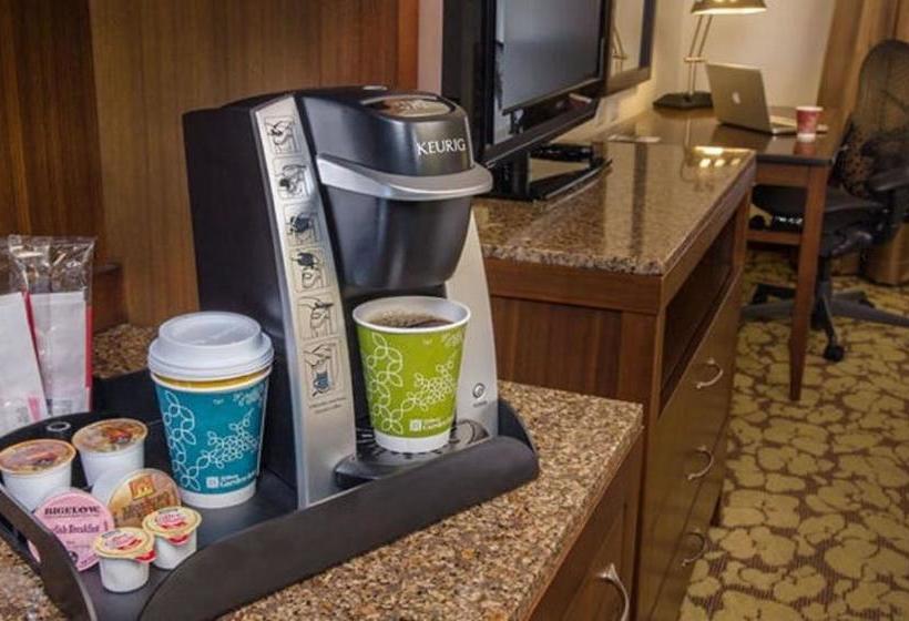 هتل Hilton Garden Inn North Dallas Central Expy