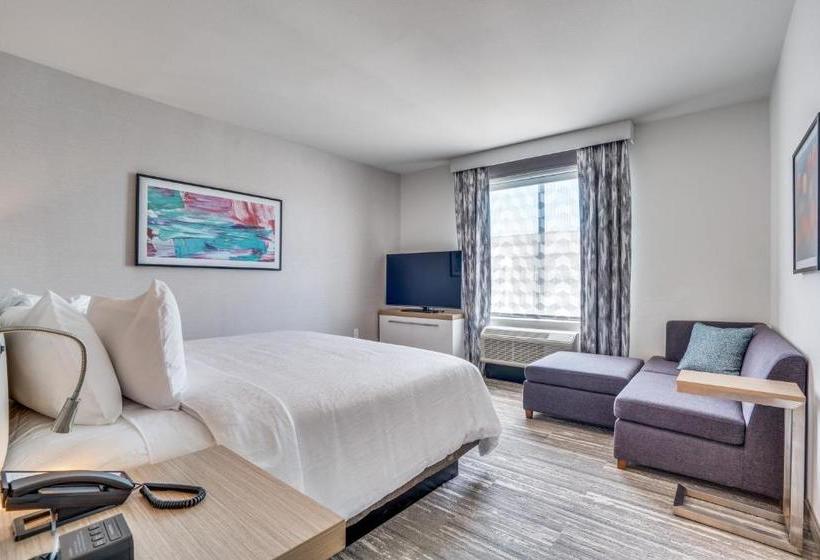 هتل Hilton Garden Inn North Dallas Central Expy