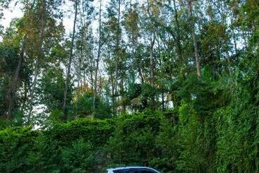 هتل Malkia Trees Lodge