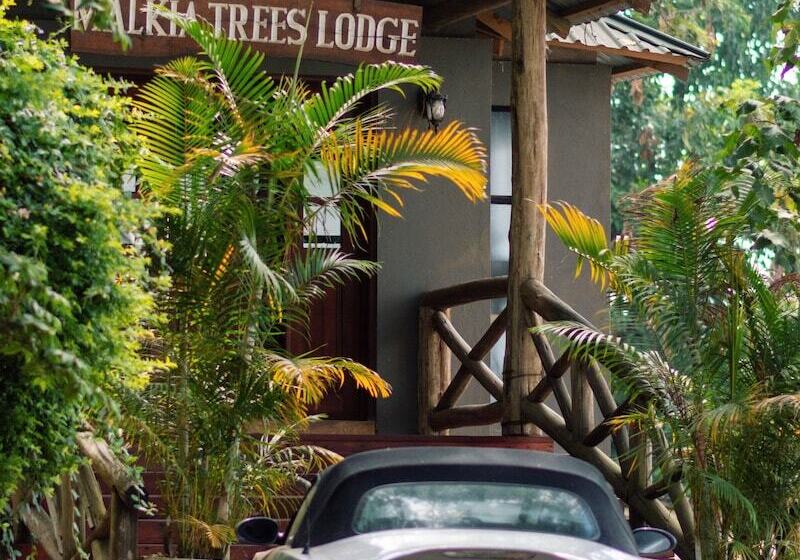 هتل Malkia Trees Lodge