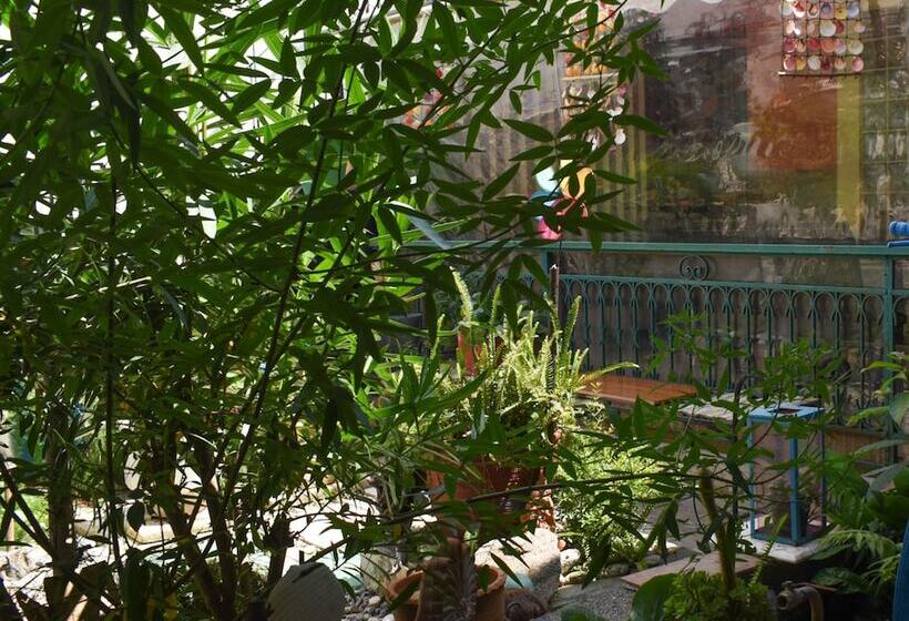 Urban Seaside Oasis Adriana S Garden Paradise