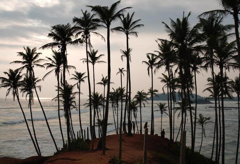 Hotel Turtle Bay Beach Resort