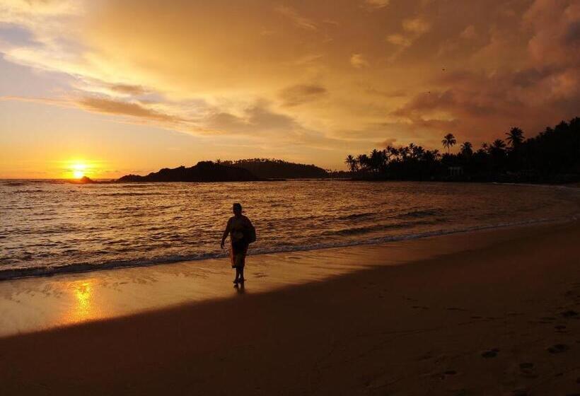 Hotel Turtle Bay Beach Resort