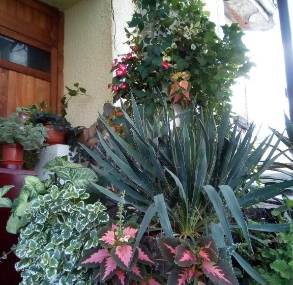 پانسیون Malgo