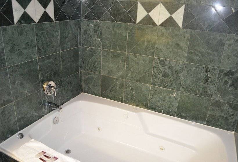 هتل Comfort Inn Downtown