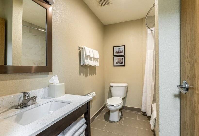 هتل Comfort Inn Downtown