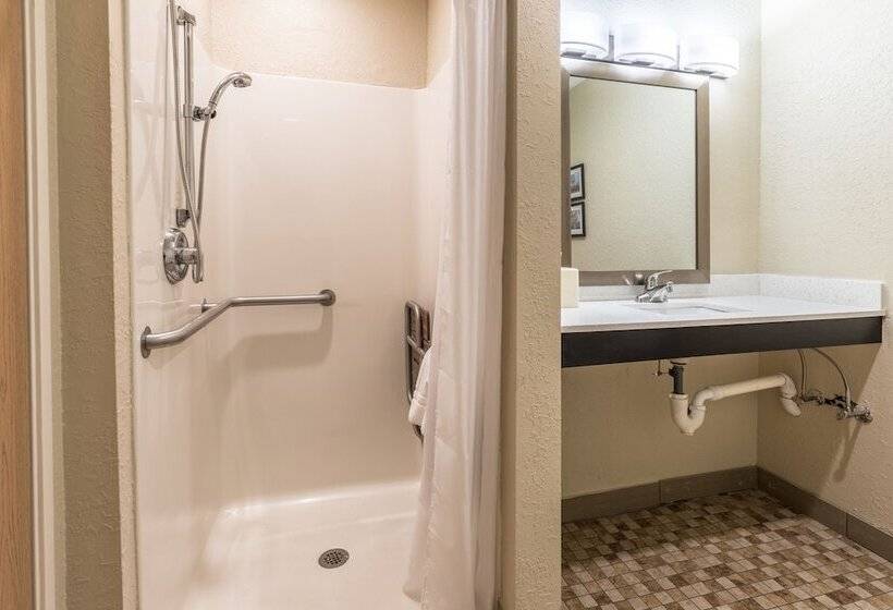 هتل Comfort Inn Downtown