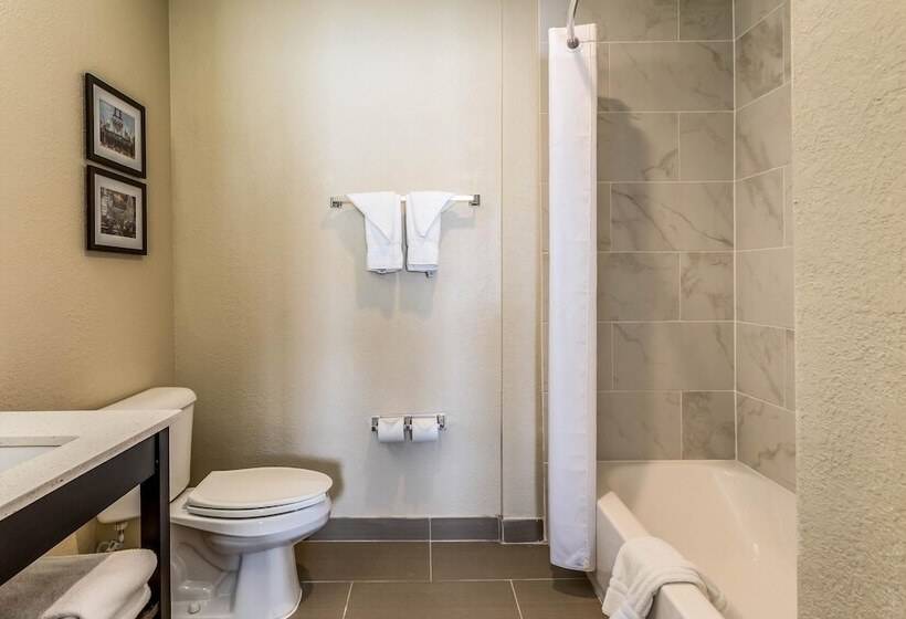 هتل Comfort Inn Downtown