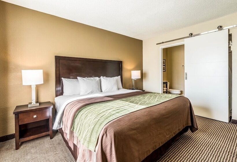 هتل Comfort Inn Downtown