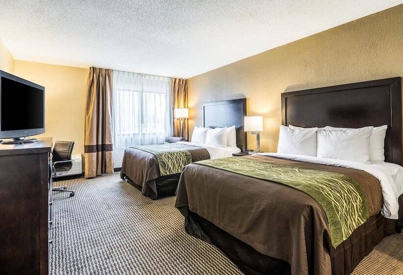 هتل Comfort Inn Downtown