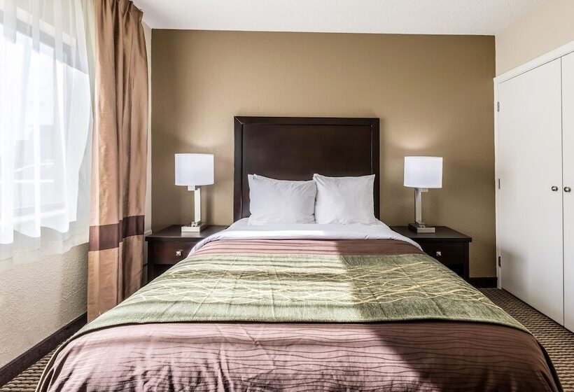 هتل Comfort Inn Downtown