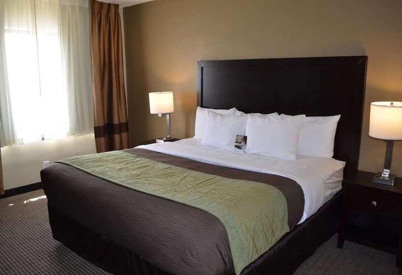هتل Comfort Inn Downtown
