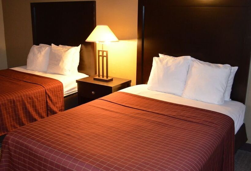 هتل Comfort Inn Downtown