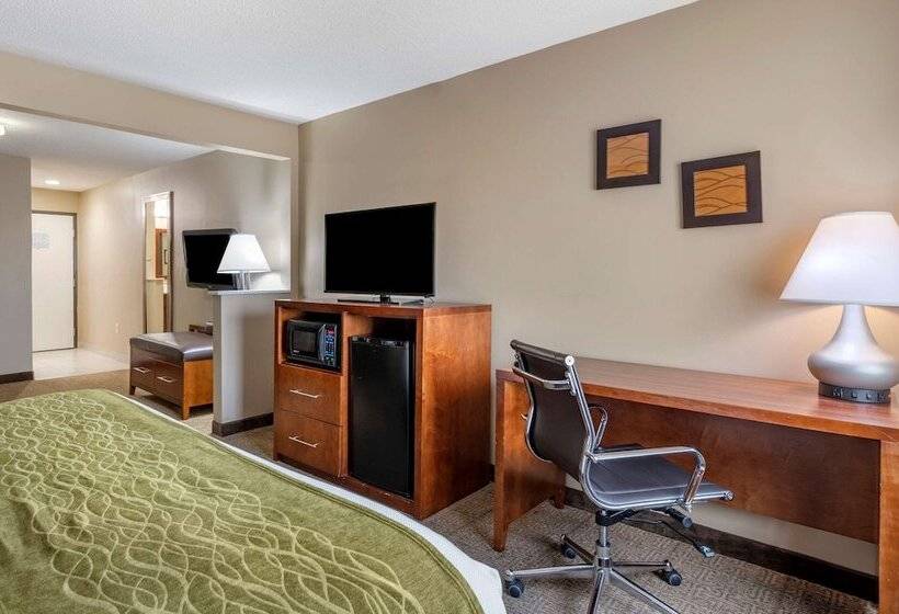هتل Comfort Inn Romeoville Bolingbrook