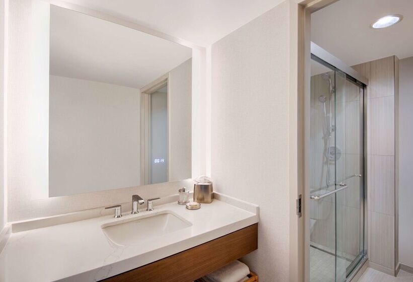 هتل Hyatt Regency Dulles