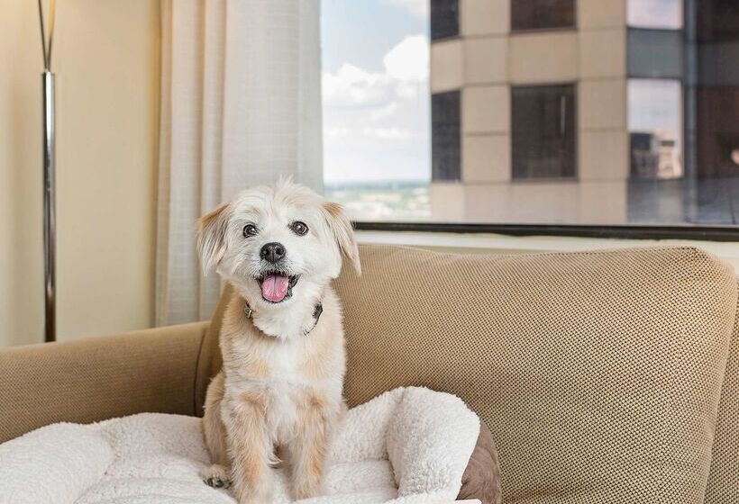هتل Hyatt Regency Houston Downtown