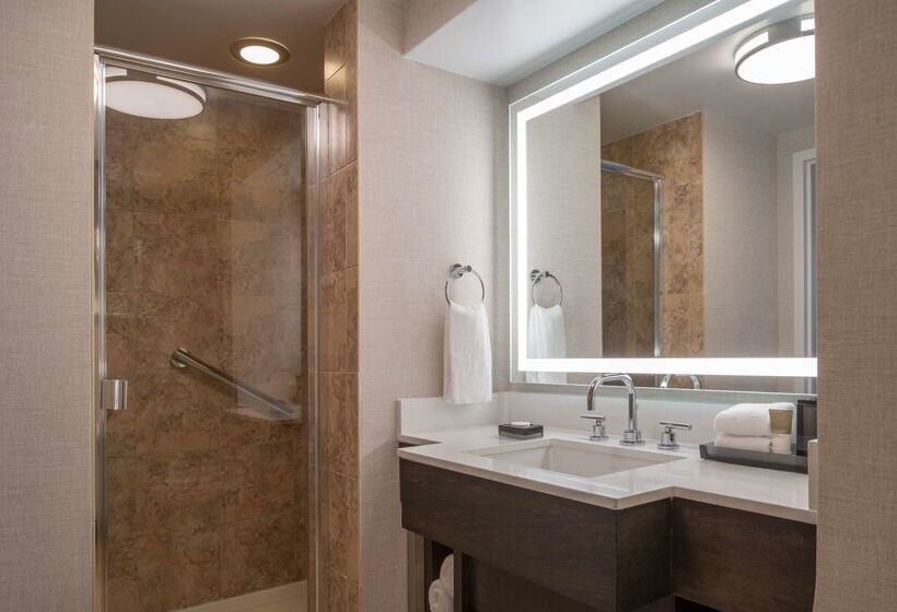 Fotos del hotel Hyatt Regency Orlando International Airport:  72