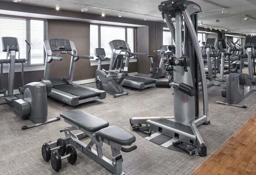 فندق Hyatt Centric Chicago Ohare