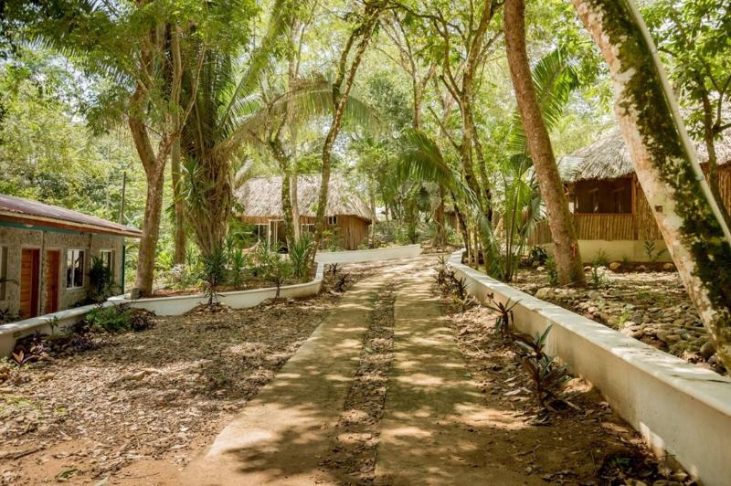 בית מלון כפרי Falling Leaves Lodge